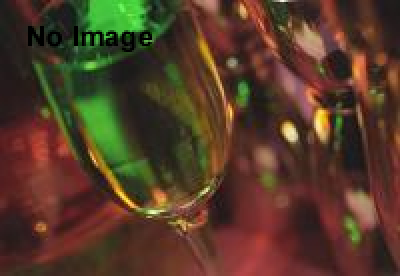 中山達也写真展『ゾンビの肖像』