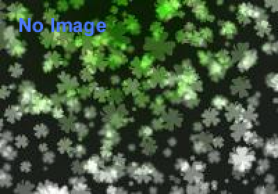 はらぺこあおむし マーケット