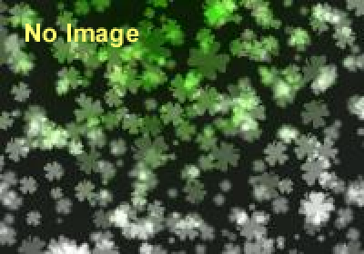 第79回アニメスタイルイベント「有頂天家族 作画語り・演出語り」