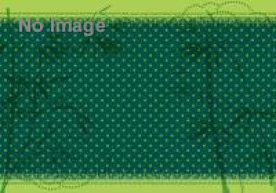 企画展示　戦国の自己アピール 