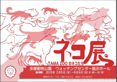 ネコ展－TAMA ZOOのネコたち