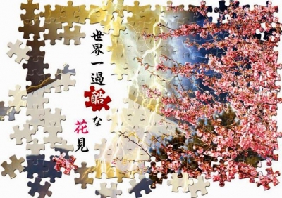 世界一過酷な花見〜4時間以内に桜を咲かせろ〜