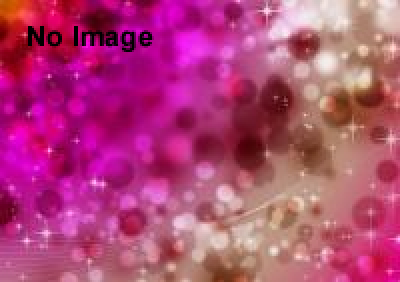 新宿POPカルチャーフェスタ@新宿中央公園 水と緑のEveningBar