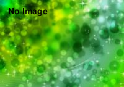 第7回かぶとむし木登り競走大会 