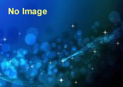 機械で奇怪な キカイ魚博覧会