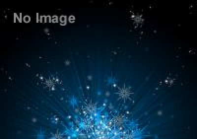 特別展「戦国図鑑 ―Cool Basara Style―」