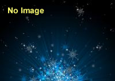 岩に刻まれた古代美術　アムール河の少数民族の聖地シカチ・アリャン