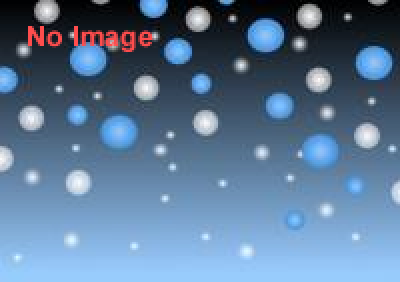 IRIE CONNECTION 2015-ELECTRIC 泡 PARTY-