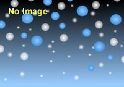 フライターグ（FREITAG）「ユクトシ、クルトシ」忘年会