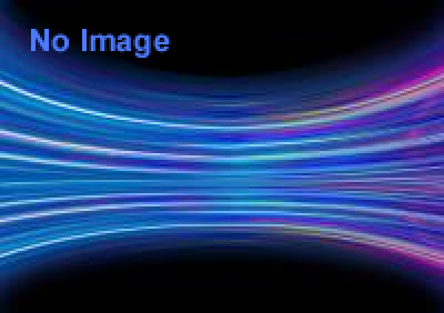 岩熊力也とゴーストペインターズ『guilt』