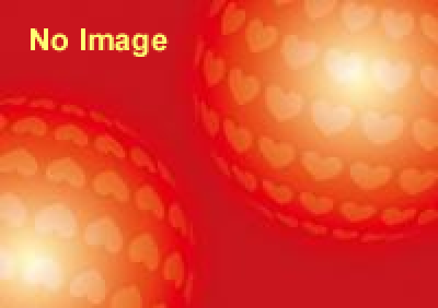 田辺誠一画伯・展　かっこいい犬。わんダーランド