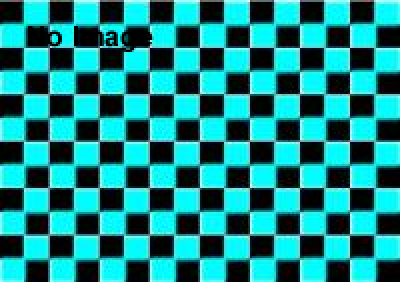 謎解きに使われるのは主にクロスワードパズルだ ～黒須博士のふしぎな発明～