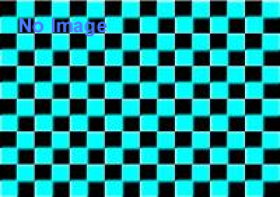 No Museum,No Life?－これからの美術館事典 国立美術館コレクションによる展覧会