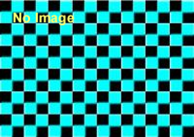 RDGの脱出　〜ぼくのRをまもって〜（再演）