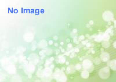 「世界の人形」展 