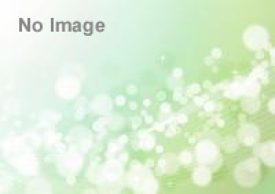 知ってそうで知らない神社の知識