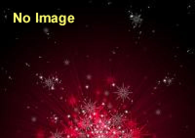 第76回 黒船祭 2015