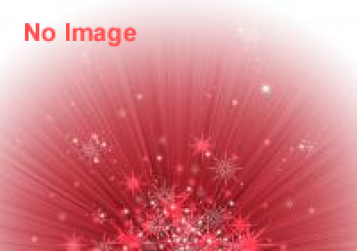 第４回　奥能登B級グルメ選手権-味はA級-