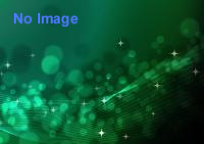 「新たな系譜学をもとめて　跳躍／痕跡／身体」展