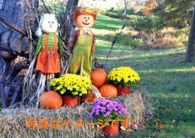 カボチャ祭り　Cucurbitades Festival（Les Cucurbitades de Marchiennes）：フランス