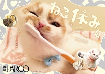 猫の合同写真＆物販展「ねこ休み展」in 静岡パルコ