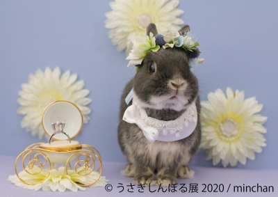 うさぎしんぼる展 2020（名古屋）