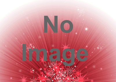 スターライトイリュージョン2013　～花、Flower～