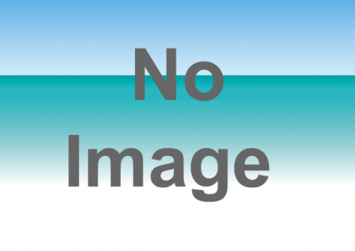 相模の大凧まつり