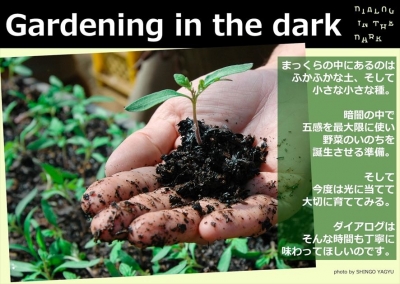 ガーデニング・イン・ザ・ダーク 