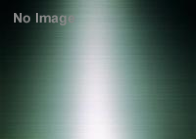 オディロン・ルドン　夢の起源　幻想のふるさと、ボルドーから