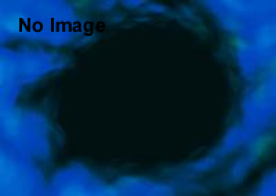 【公演中止】体感型リアルゲーム『秘密のおばけ屋敷へのご招待』～途絶えることのない噂～