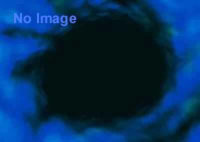 伊藤幸久 「Gravity dolls」