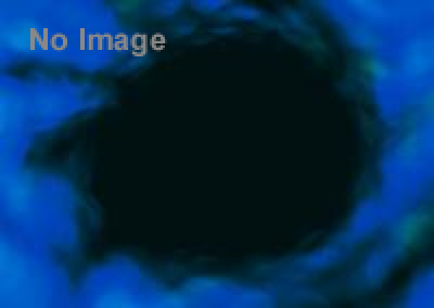 新文芸座オールナイト上映　お嬢さん、貧血に気をつけて！ 「血を吸う」シリーズ＋1