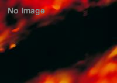 ウォリアーダッシュ【神奈川：さがみ湖リゾート会場】