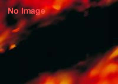 キャンプ富士マッドラン（泥んこレース）2015