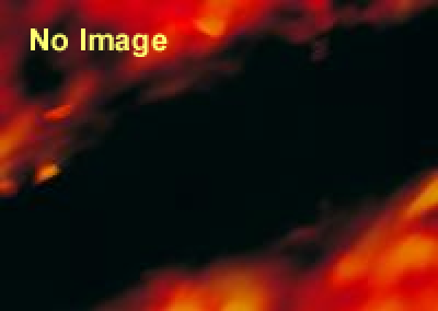 エノシマトレジャー～竜神の仮面と七曜の神器～ 