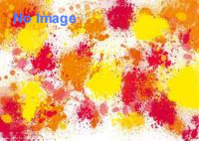 MASHU OKI EXHIBITION “WAFFLE HOUSE”