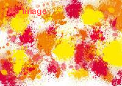 BINCAN FES.2015 in 大阪