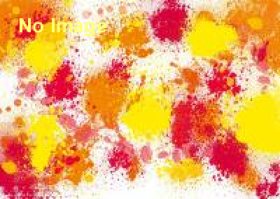 クレイジーアート展