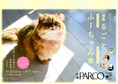 ねこ休み展スピンオフ企画「まるごとふーちゃん展」in 大津パルコ
