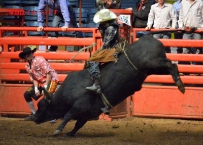 レディング・ロデオ＆ロデオ ウィークフェスティバル（Redding Rodeo 2014）：アメリカ