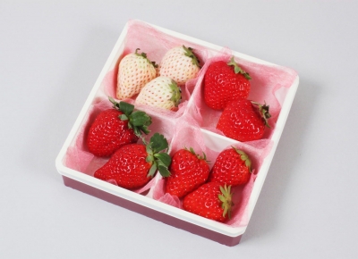 横浜ストロベリーフェスティバル2015