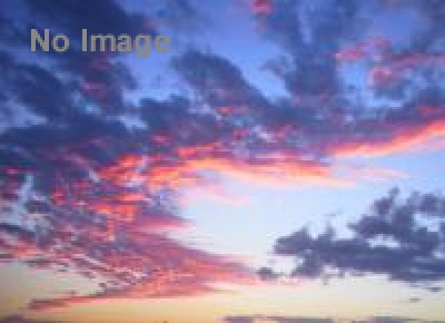 CAMP Off-Tone 2013“Global love on a real communication”