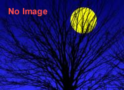 インベカヲリ★写真展「やっぱ月帰るわ、私。」