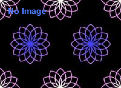 第５回京都ヒストリカ国際映画祭 2014