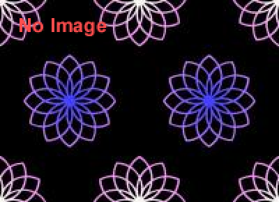 企画展「こけし」