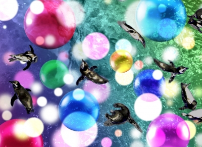 プロジェクションマッピング『Penguin Candy（ペンギンキャンディ）』