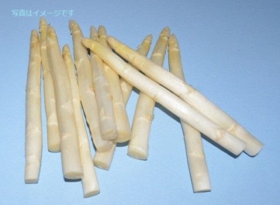 白アスパラガス祭り（Spargeltage 2014）：ドイツ