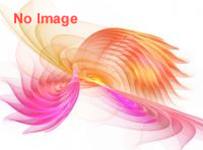 ディワリ・イン・ヨコハマ2013