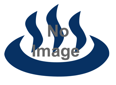 平成25年度第99回　別府八湯温泉まつり 　